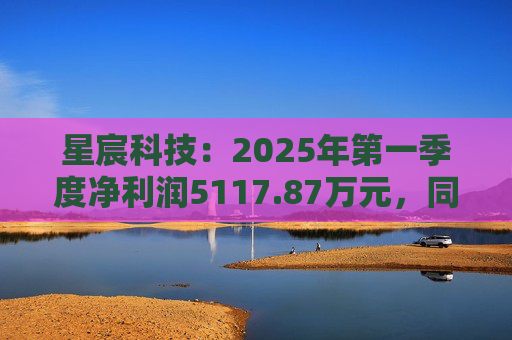 星宸科技：2025年第一季度净利润5117.87万元，同比增长0.48%