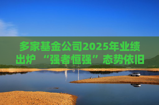 多家基金公司2025年业绩出炉 “强者恒强”态势依旧