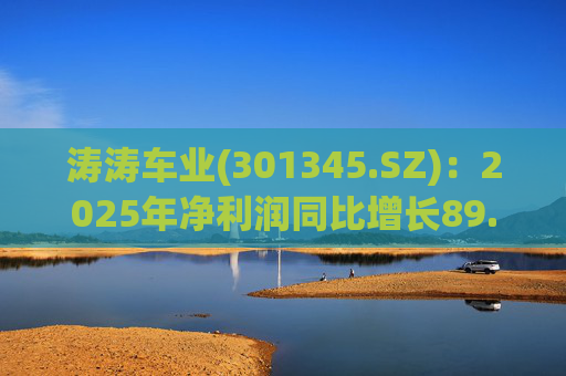 涛涛车业(301345.SZ)：2025年净利润同比增长89.29% 拟10派15元