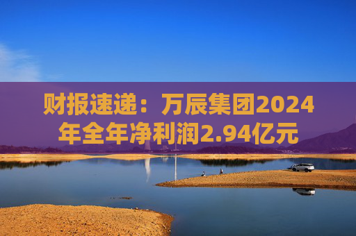 财报速递:万辰集团2024年全年净利润2.94亿元