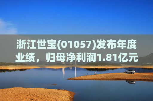 浙江世宝(01057)发布年度业绩，归母净利润1.81亿元 同比增加21.05%