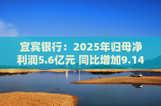 宜宾银行：2025年归母净利润5.6亿元 同比增加9.14%