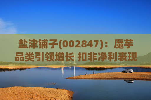 盐津铺子(002847)：魔芋品类引领增长 扣非净利表现亮眼