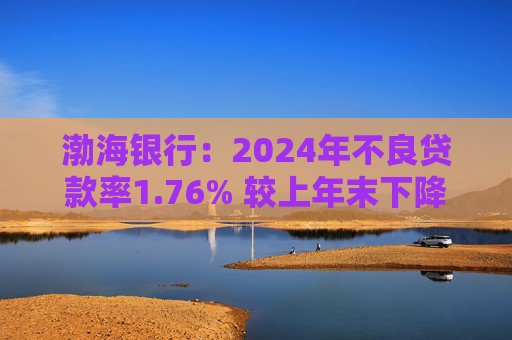 渤海银行:2024年不良贷款率1.76% 较上年末下降0.02个百分点 第1张 渤海银行:2024年不良贷款率1.76% 较上年末下降0.02个百分点 第1张
