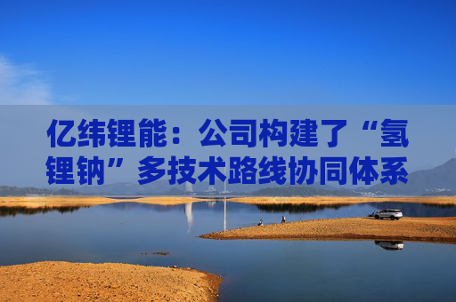 亿纬锂能：公司构建了“氢锂钠”多技术路线协同体系