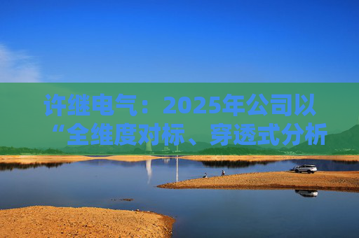 许继电气：2025年公司以“全维度对标、穿透式分析、动态化管控”为核心