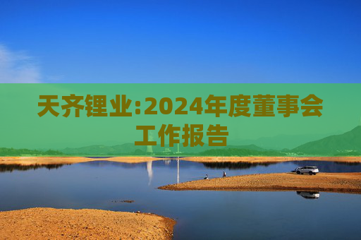 天齐锂业:2024年度董事会工作报告