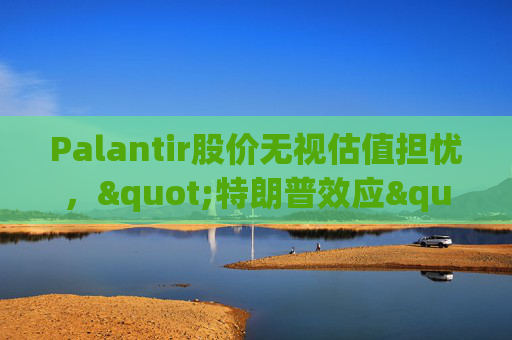 Palantir股价无视估值担忧，"特朗普效应"压倒空头  第1张