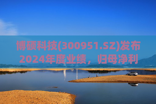 博硕科技(300951.SZ)发布2024年度业绩，归母净利润2.11亿元，同比下降17.35%  第1张