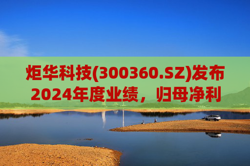 炬华科技(300360.SZ)发布2024年度业绩，归母净利润6.65亿元，同比增长9.45%  第1张