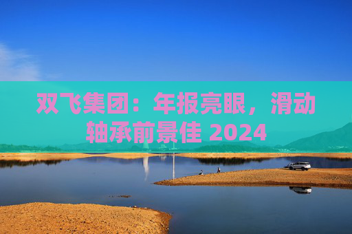 双飞集团：年报亮眼，滑动轴承前景佳 2024