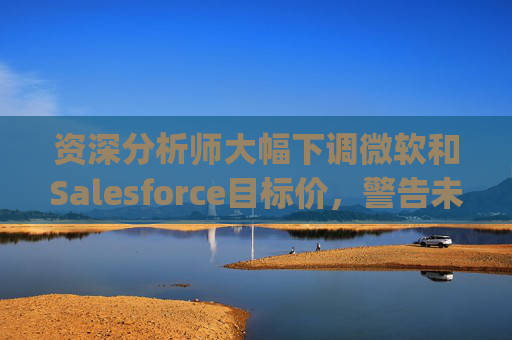 资深分析师大幅下调微软和Salesforce目标价，警告未来一年将"艰难"