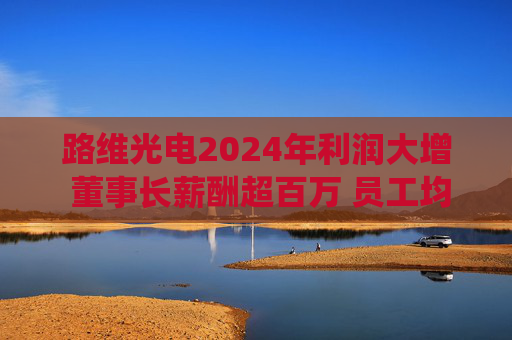 路维光电2024年利润大增 董事长薪酬超百万 员工均薪亦涨