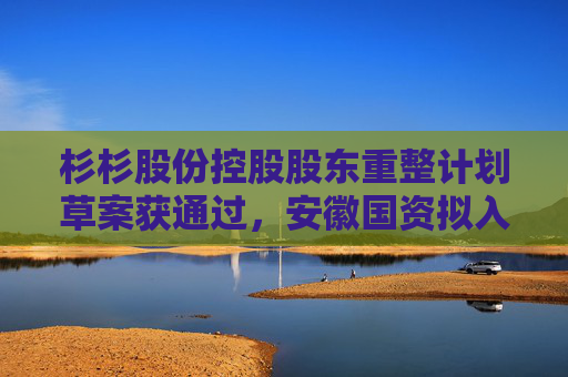 杉杉股份控股股东重整计划草案获通过，安徽国资拟入主