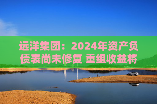 远洋集团：2024年资产负债表尚未修复 重组收益将于2025年释放