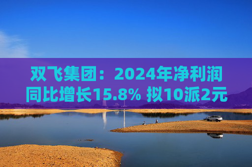 双飞集团：2024年净利润同比增长15.8% 拟10派2元