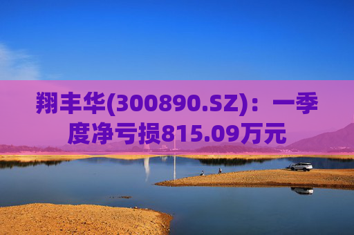 翔丰华(300890.SZ)：一季度净亏损815.09万元