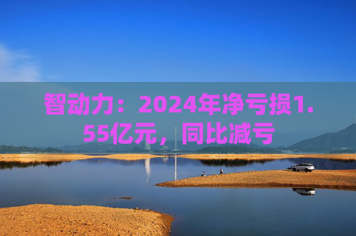 智动力:2024年净亏损1.55亿元,同比减亏