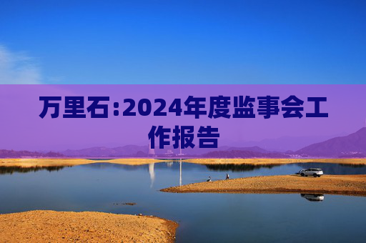 万里石:2024年度监事会工作报告