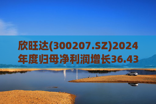 欣旺达(300207.SZ)2024年度归母净利润增长36.43%至14.68亿元,动力电池出货量合计25.29GWh 第1张 欣旺达(300207.SZ)2024年度归母净利润增长36.43%至14.68亿元,动力电池出货量合计25.29GWh 第1张