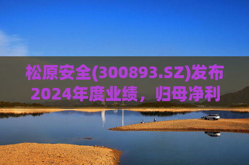 松原安全(300893.SZ)发布2024年度业绩,归母净利润2.6亿元,增长31.65% 第1张 松原安全(300893.SZ)发布2024年度业绩,归母净利润2.6亿元,增长31.65% 第1张
