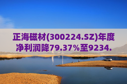 正海磁材(300224.SZ)年度净利润降79.37%至9234.02万元  高性能钕铁硼永磁材料销量实现连续七年增长