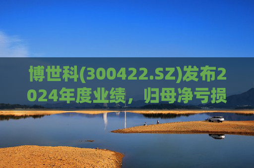 博世科(300422.SZ)发布2024年度业绩，归母净亏损8.65亿元，扩大300.66%