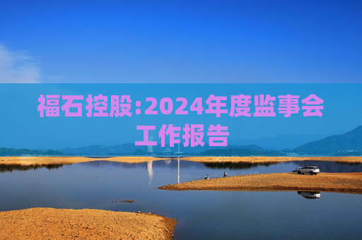 福石控股:2024年度监事会工作报告