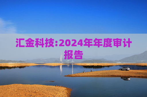 汇金科技:2024年年度审计报告
