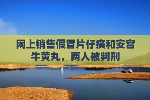 网上销售假冒片仔癀和安宫牛黄丸，两人被判刑