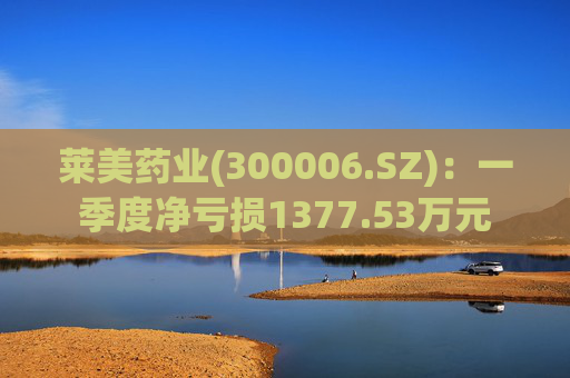 莱美药业(300006.SZ):一季度净亏损1377.53万元