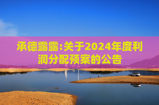 承德露露:关于2024年度利润分配预案的公告