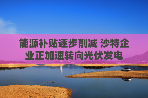 能源补贴逐步削减 沙特企业正加速转向光伏发电