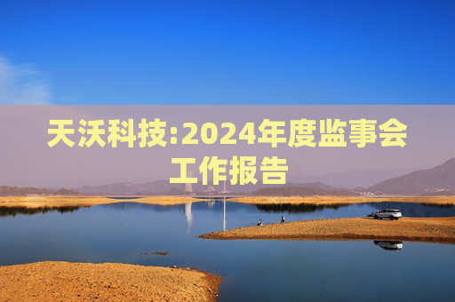 天沃科技:2024年度监事会工作报告