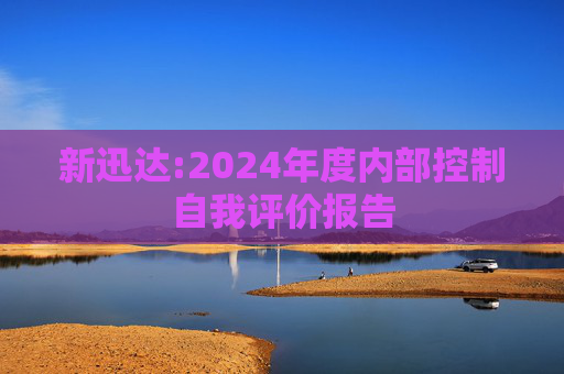 新迅达:2024年度内部控制自我评价报告
