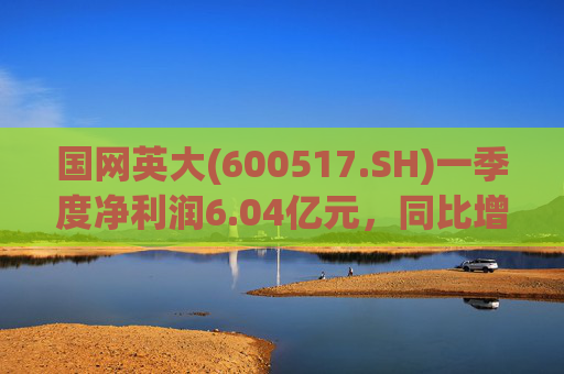 国网英大(600517.SH)一季度净利润6.04亿元，同比增长45.22%