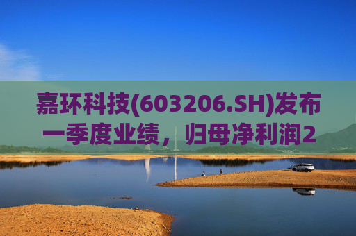 嘉环科技(603206.SH)发布一季度业绩，归母净利润2021.72万元，同比下降21.02%