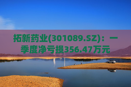 拓新药业(301089.SZ):一季度净亏损356.47万元