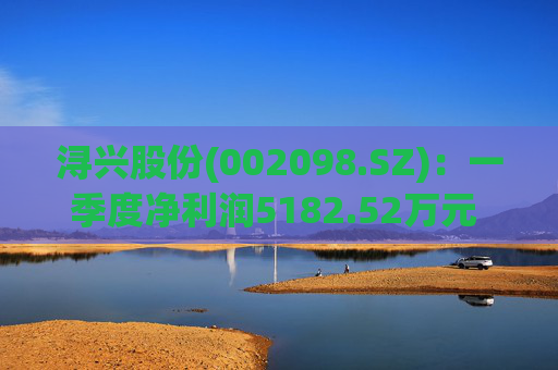 浔兴股份(002098.SZ)：一季度净利润5182.52万元 同比增加41.52%