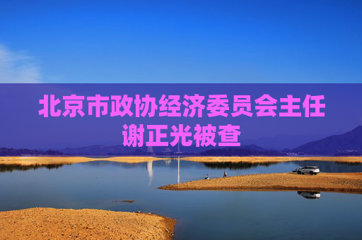 北京市政协经济委员会主任谢正光被查