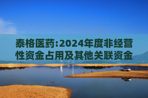 泰格医药:2024年度非经营性资金占用及其他关联资金往来情况的专项报告
