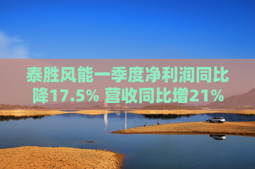 泰胜风能一季度净利润同比降17.5% 营收同比增21%