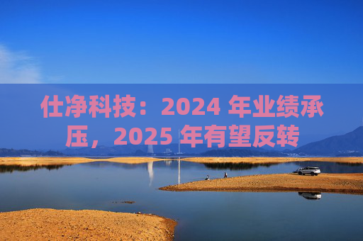 仕净科技:2024 年业绩承压,2025 年有望反转 第1张 仕净科技:2024 年业绩承压,2025 年有望反转 第1张