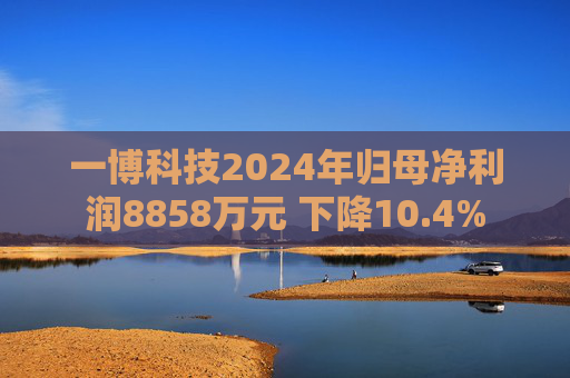 一博科技2024年归母净利润8858万元 下降10.4% 第1张 一博科技2024年归母净利润8858万元 下降10.4% 第1张