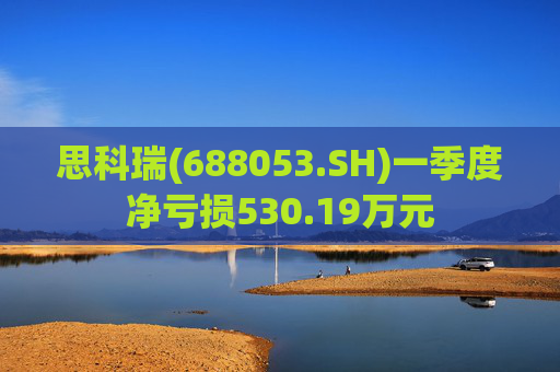 思科瑞(688053.SH)一季度净亏损530.19万元