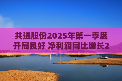 共进股份2025年第一季度开局良好 净利润同比增长267.63%