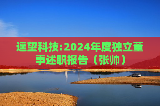 遥望科技:2024年度独立董事述职报告（张帅）