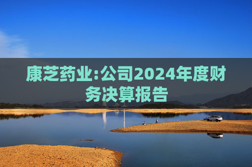 康芝药业:公司2024年度财务决算报告  第1张