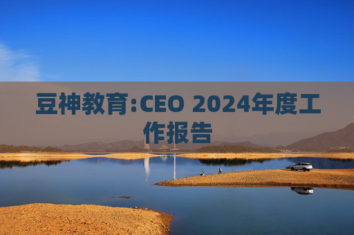 豆神教育:CEO 2024年度工作报告