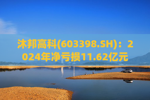 沐邦高科(603398.SH):2024年净亏损11.62亿元